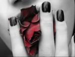 pour vous